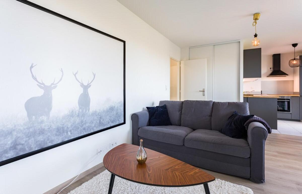 Le Rio, Appartement Avec Terrasse & Parking رينز المظهر الخارجي الصورة